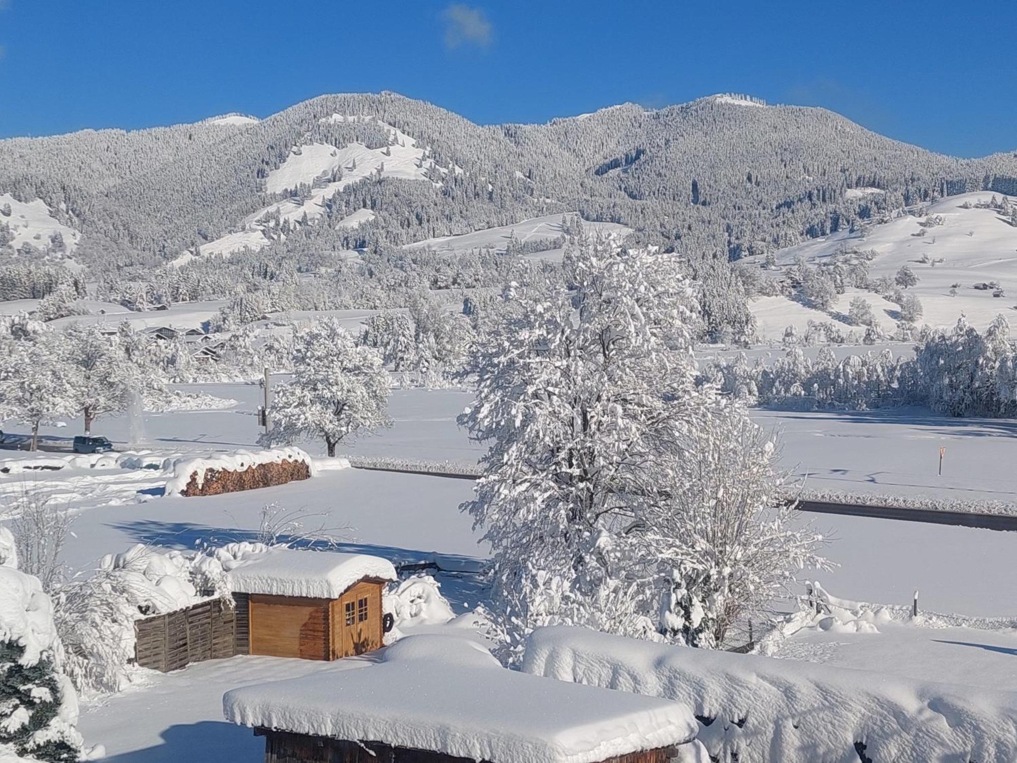 Apartment Traumblick Unterammergau Εξωτερικό φωτογραφία